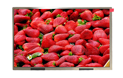 10英寸液晶顯示屏，找廠家更劃算【海飛智顯】-液晶屏廠家