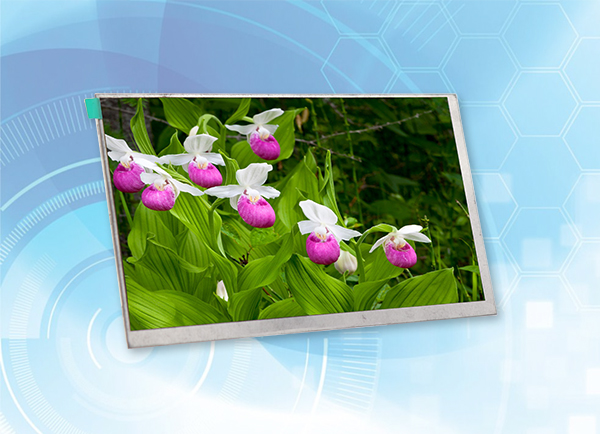 高清lcd顯示屏有哪些特點？價格貴不貴？