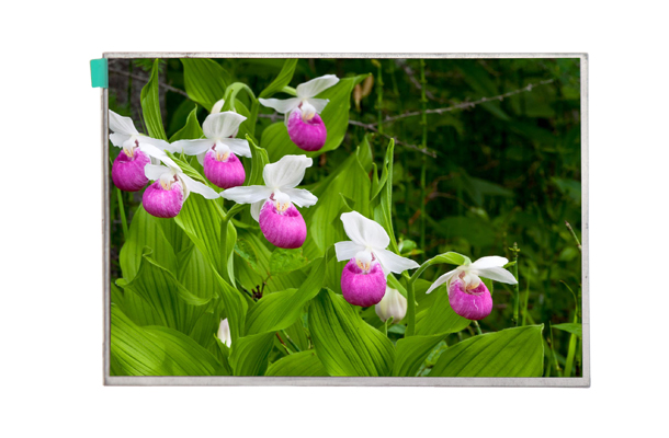 lcd液晶屏幕的維護(hù)保養(yǎng)該如何做？【海飛智顯】-lcd液晶顯示屏廠(chǎng)家