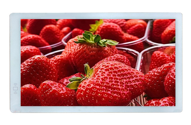 13.3英寸全高清TFT屏：為何它仍是便攜設(shè)備的黃金標(biāo)準(zhǔn)？